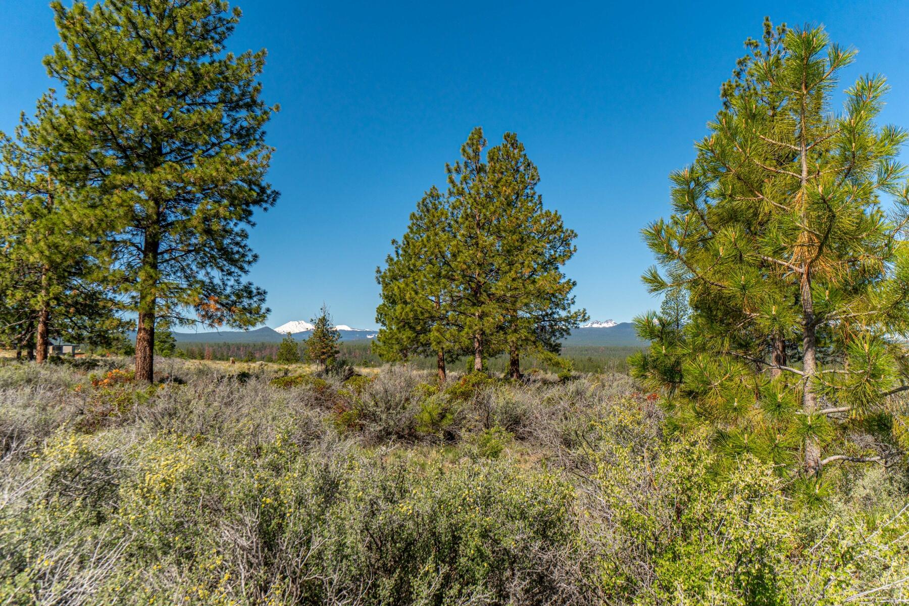 62485 Huntsman Loop Bend Bend, OR 97703 - Photo 27 of 32 batch_46