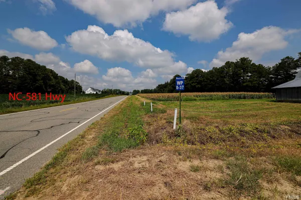 a lake view with boat and palm trees