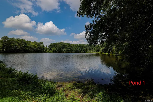 a view of a lake with a garden