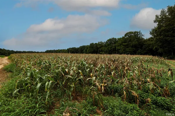 a view of a field with a wooden fence