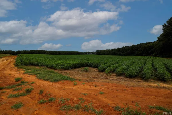 a view of outdoor space with trees