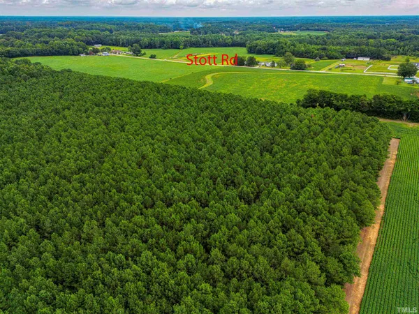 a view of a big yard with plants and large trees