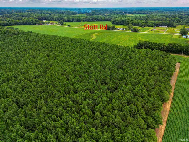 a view of a big yard with plants and large trees