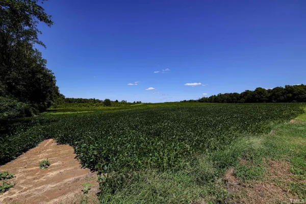 a view of a pathway both side of grassy field with shrub