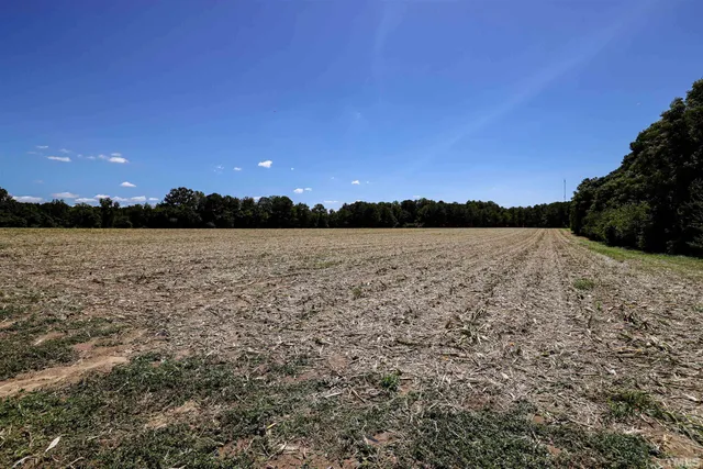 a view of a green field with lots of bushes