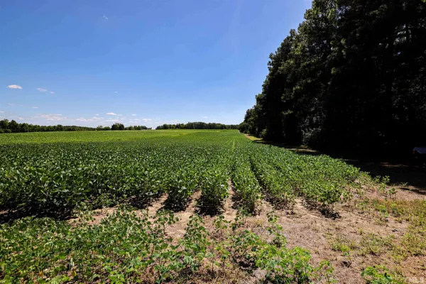 $7,122,250 | 0 South Nc 581 Highway, Bailey, NC 27807