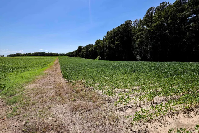 $7,122,250 | 0 South Nc 581 Highway, Bailey, NC 27807