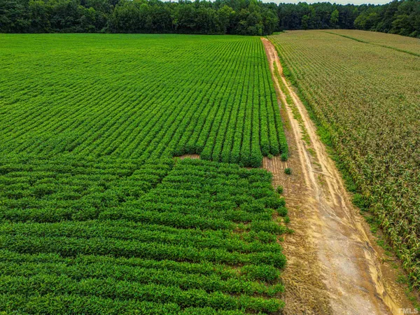 a view of a back yard