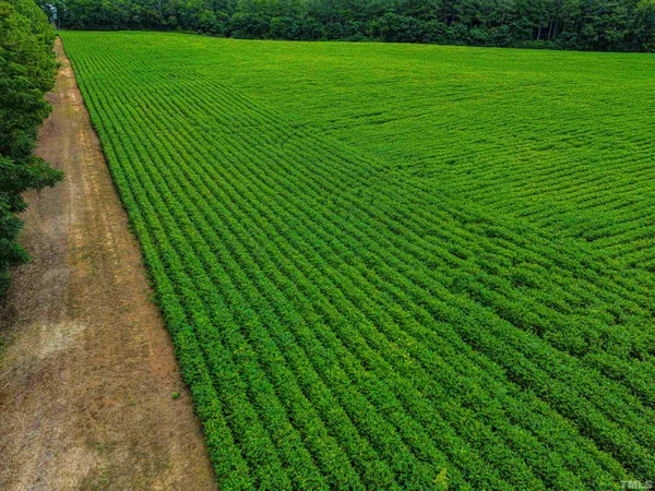 a view of a garden with a building
