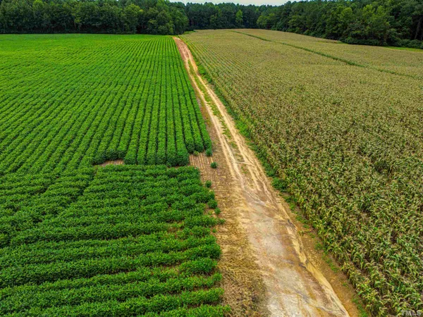 a view of an outdoor space and a yard