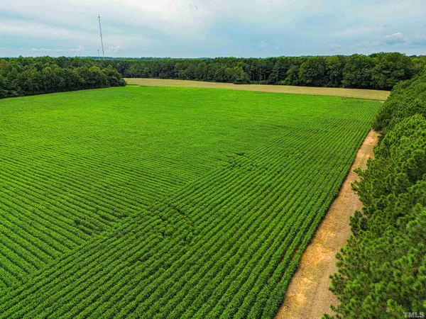 a view of a golf course