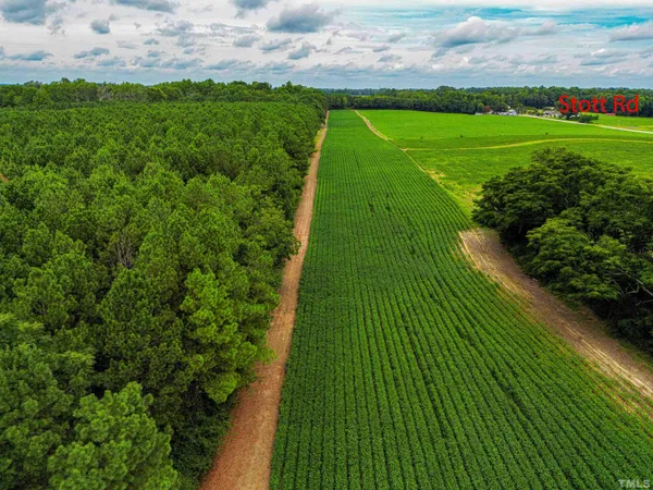 a view of a garden with an outdoor space