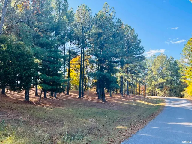 a view of a park with large trees