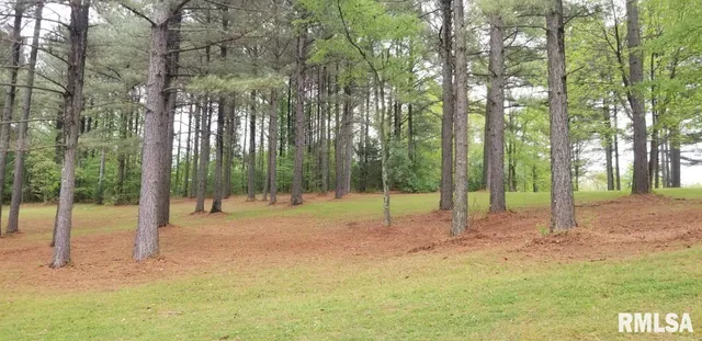 a view of trees and in green field