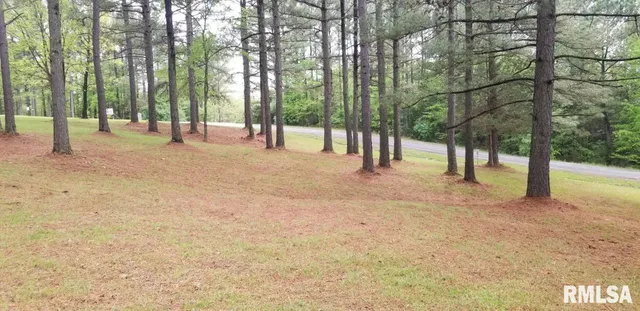 a view of outdoor space with deck and trees