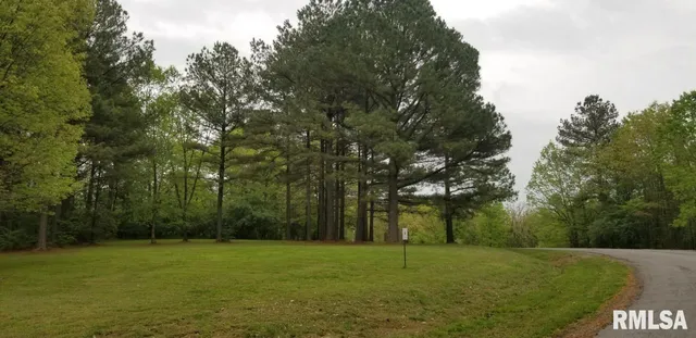 a view of outdoor space and yard