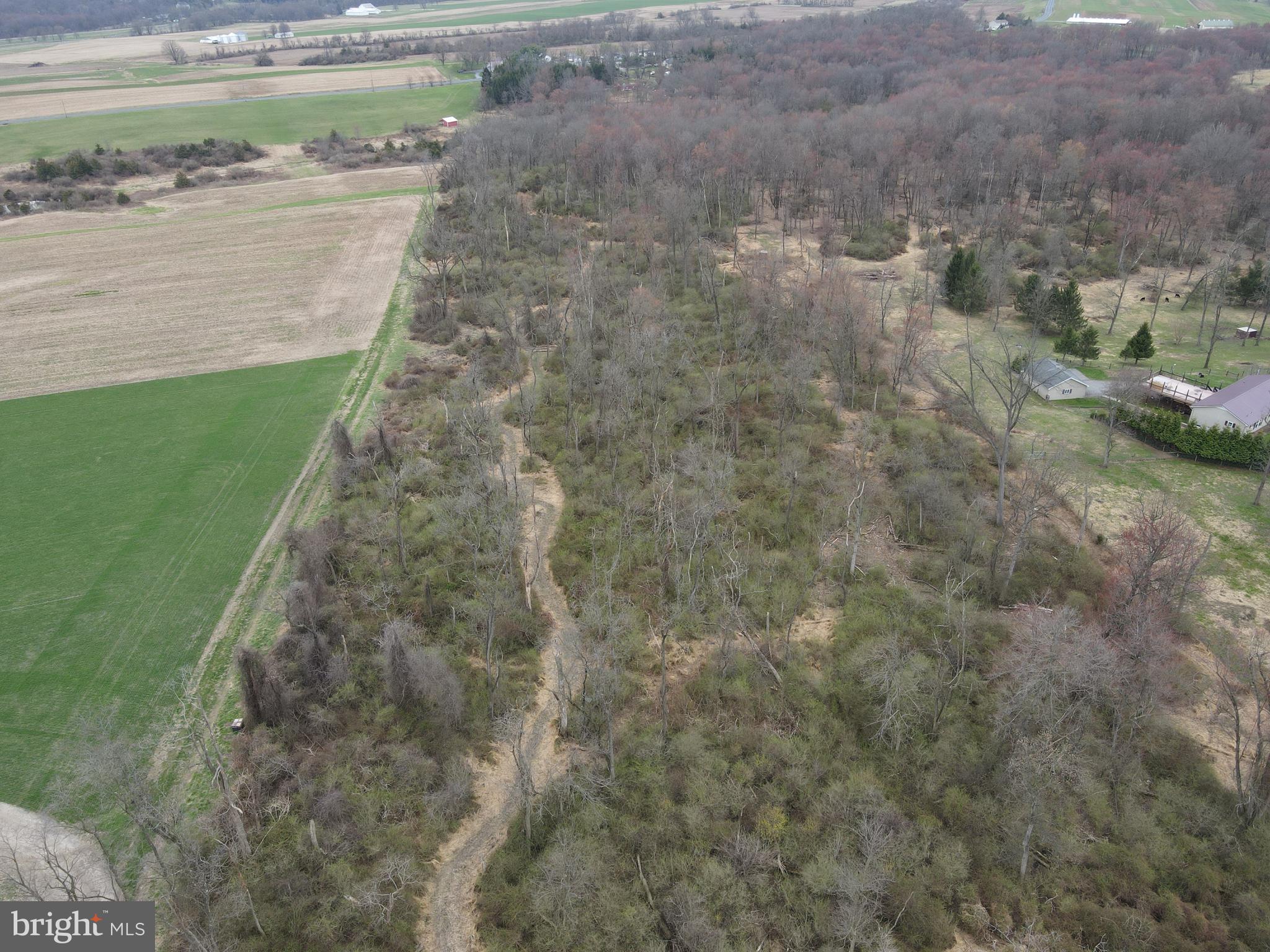 440 Patrick Road East Palmyra, PA 17078 - Photo 4 of 6