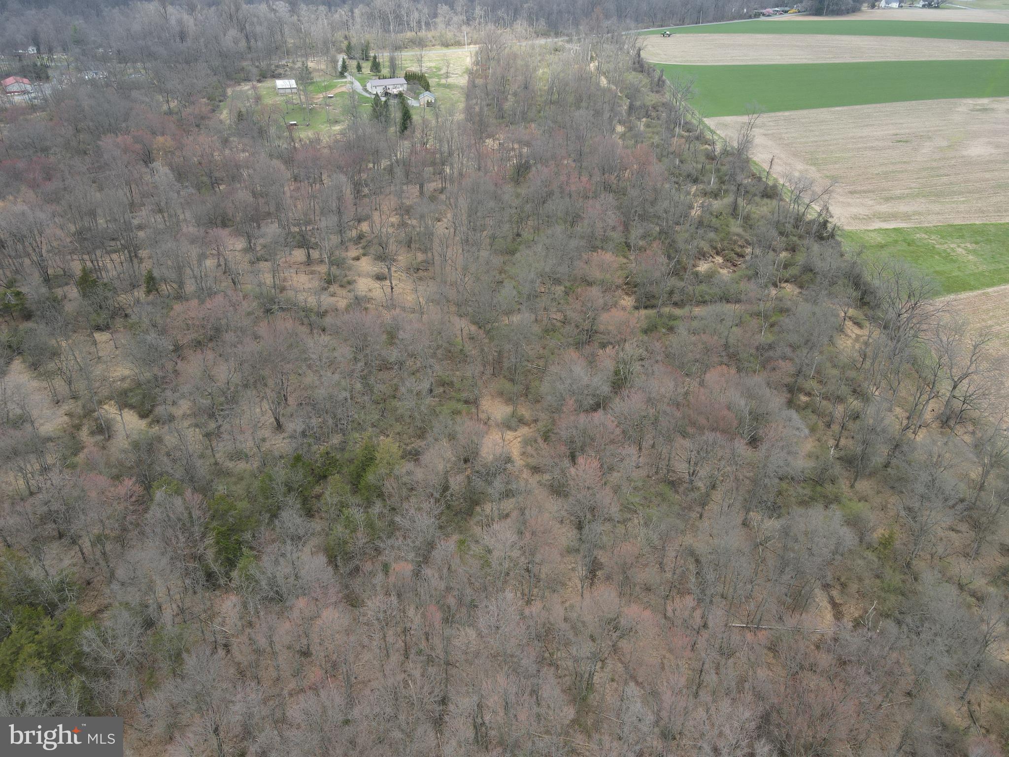 440 Patrick Road East Palmyra, PA 17078 - Photo 6 of 6
