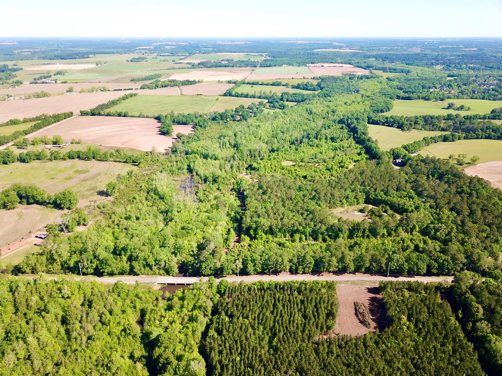 65-acres County Line Road Dothan, AL 36305 - Photo 24 of 37