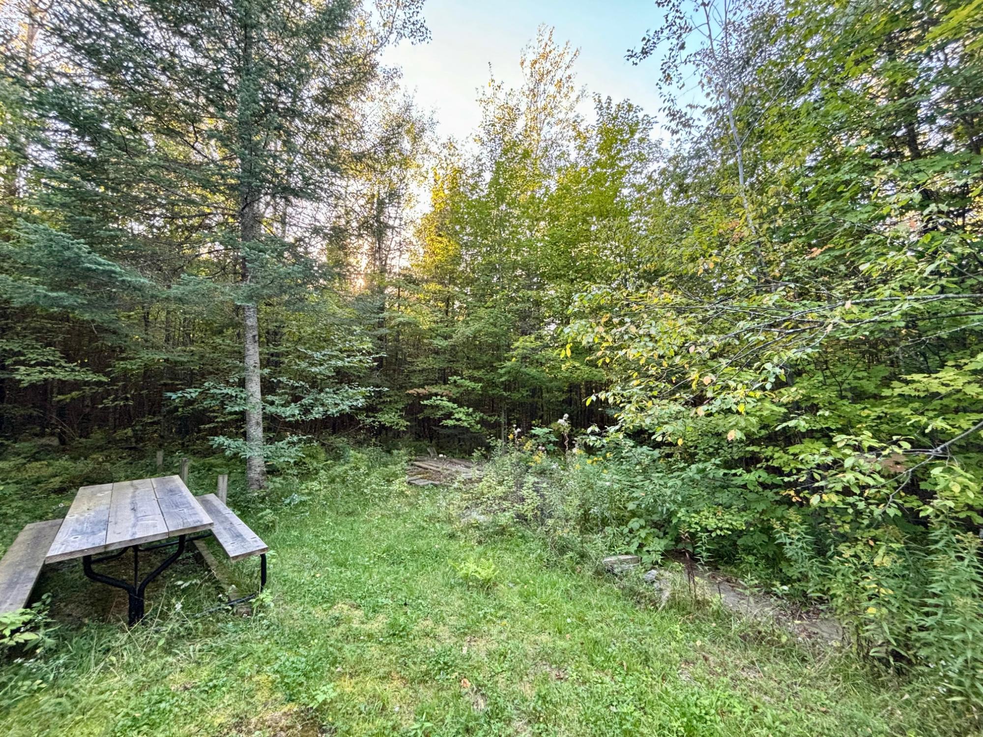 13773 Town Hall Road Butternut, WI 54514 - Photo 28 of 28 Gallery Image 28