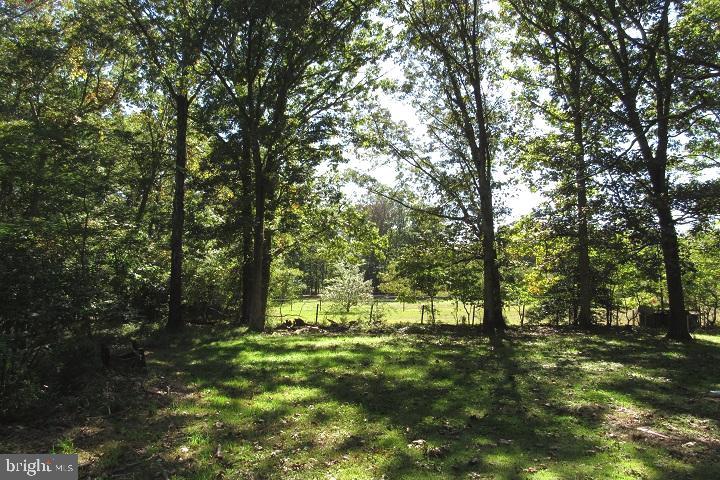 144 Buck Road Newfield, NJ 08344 - Photo 23 of 25