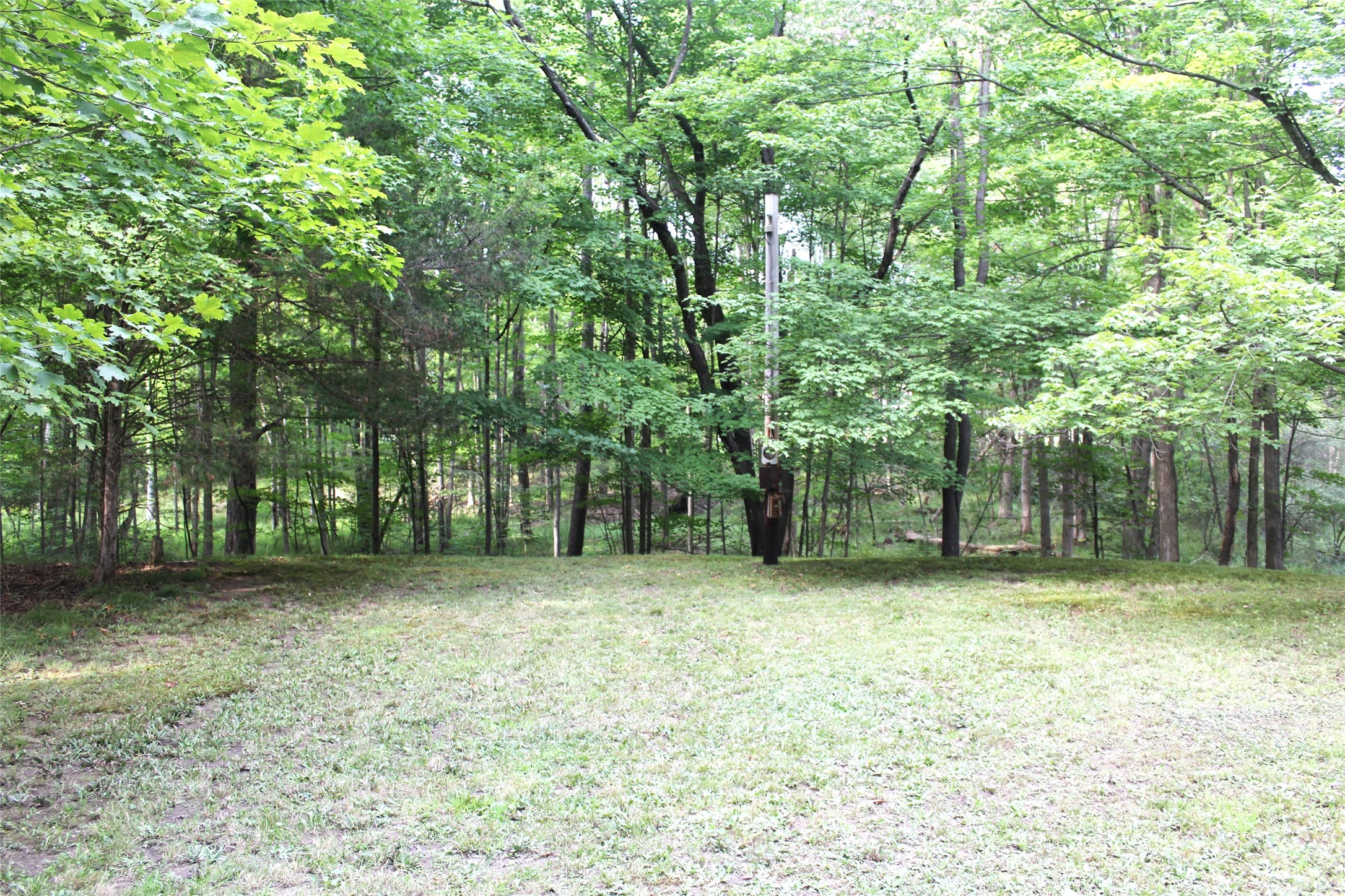 2119 Chippewa Road Jamestown, PA 16134 - Photo 15 of 16 Lot across the Road