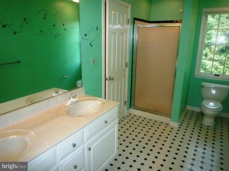 3610 Jackson Cabin Road Phoenix, MD 21131 - Photo 11 of 29 a bathroom with a sink a toilet and a shower
