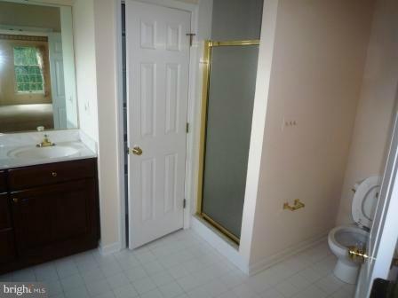 3610 Jackson Cabin Road Phoenix, MD 21131 - Photo 28 of 29 a bathroom with a sink and a mirror