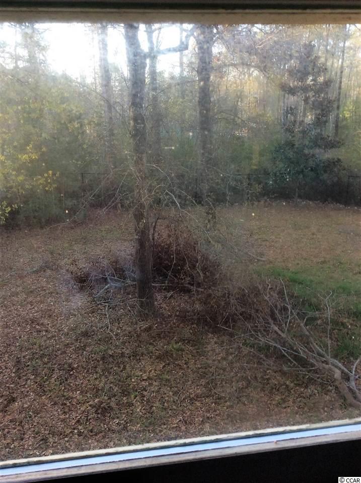 419 Otter Run Road Pawleys Island, SC 29585 - Photo 2 of 16 Gallery Image 2