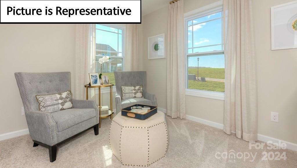 110 Saidin Lane Troutman, NC 28166 - Photo 27 of 48 a living room with furniture and a gate