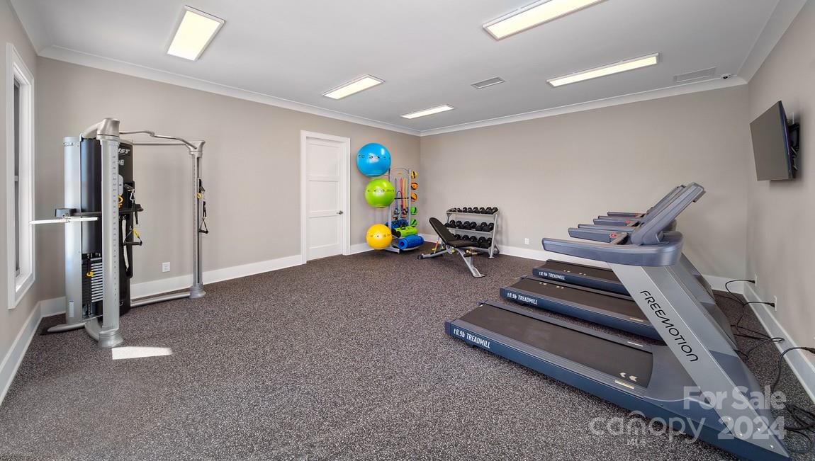 110 Saidin Lane Troutman, NC 28166 - Photo 45 of 48 a view of a room with gym equipment