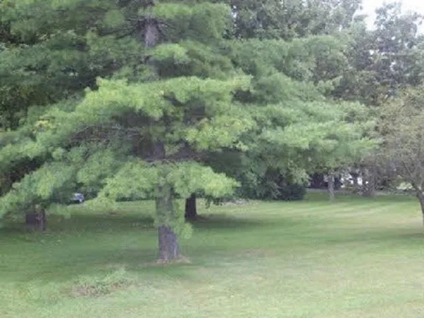 $43,500 | 11810 Love Road, Roscoe, IL 61073