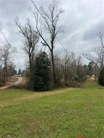 0 Edmonds Road Pollock, LA 71467 - Photo 1 of 3 Gallery Image 1