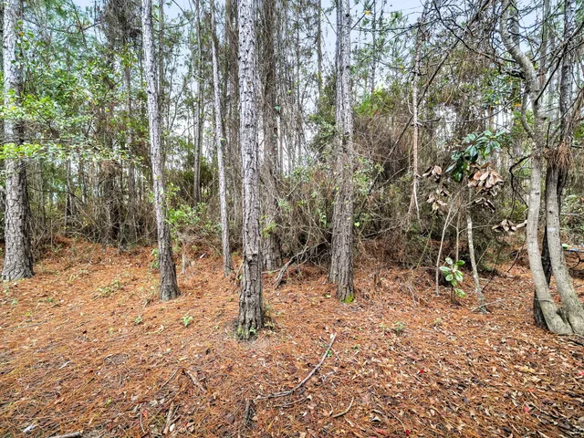 $2,100 | 35 Talon Court, Santa Rosa Beach, FL 32459