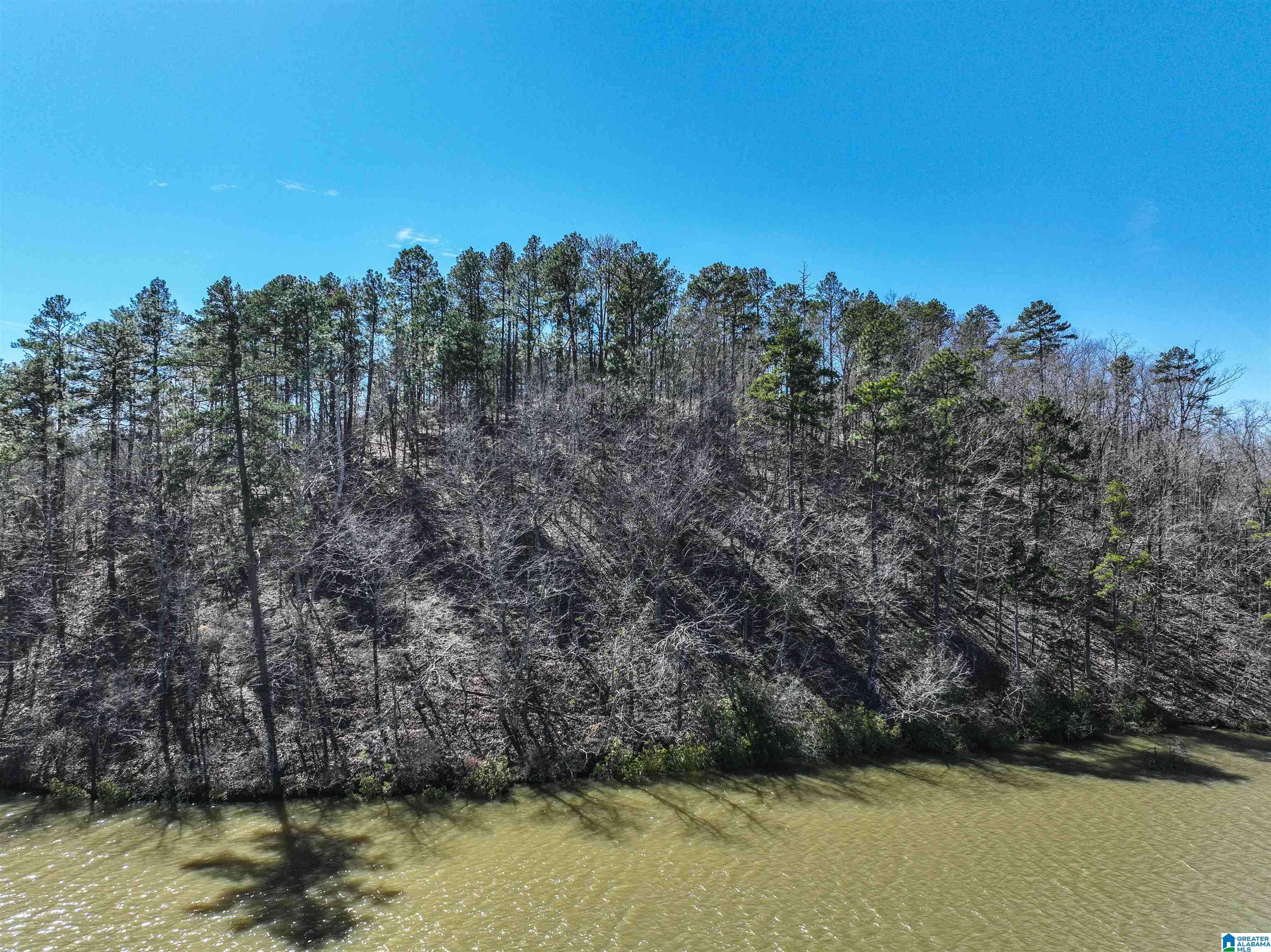 0 Preserve Road, Unit LOT 7 Rockford, AL 35136 - Photo 16 of 16