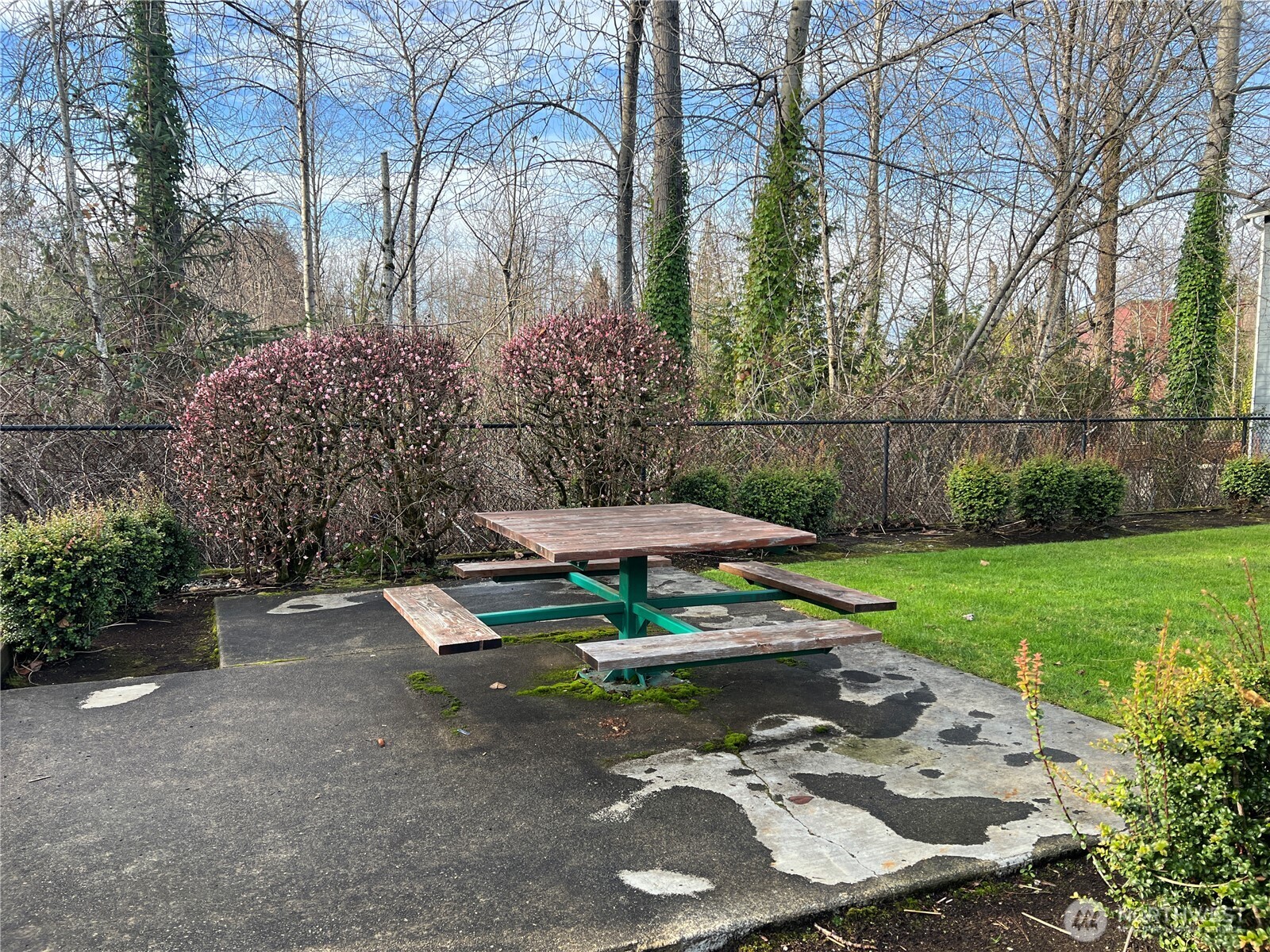 364 Field Place Northeast Renton, WA 98059 - Photo 26 of 28 a view of a backyard with table and chairs under an umbrella