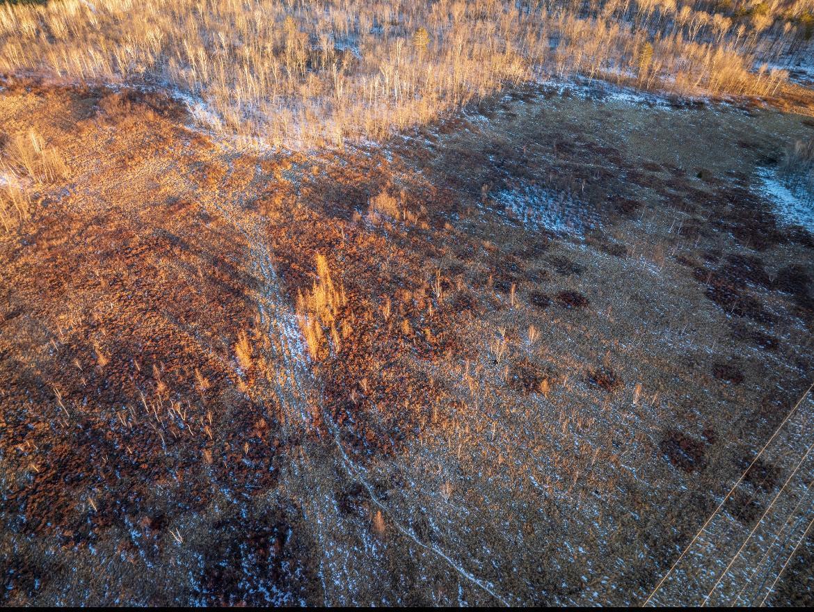 Xxx Tenquist Road Sandstone, MN 55072 - Photo 5 of 5