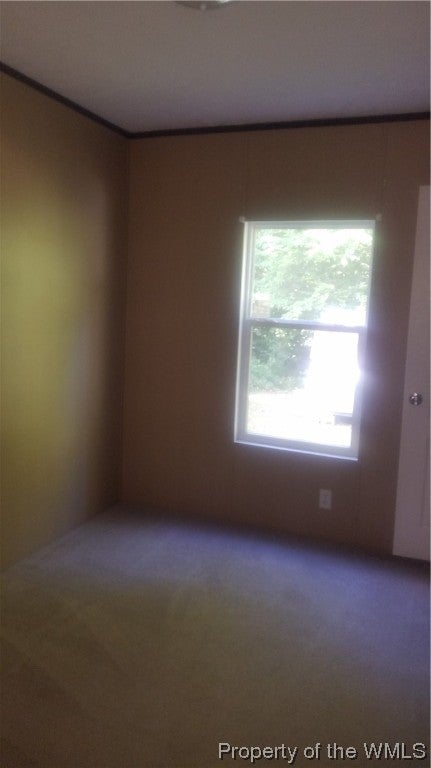 627 Ditchley Road Kilmarnock, VA 22482 - Photo 21 of 24 Gallery Image 21