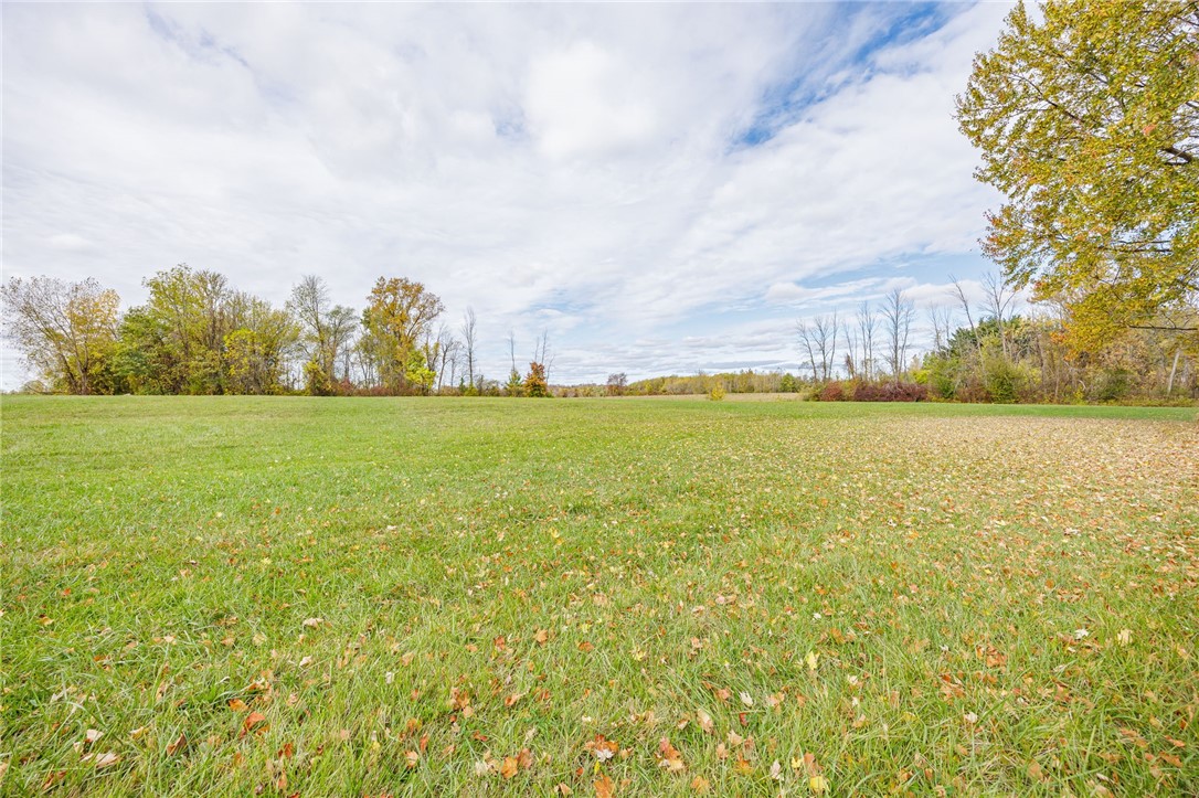 2503 Canandaigua Road Macedon, NY 14502 - Photo 3 of 24
