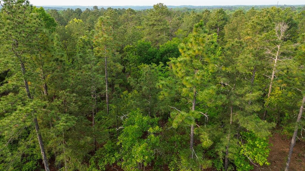 0 Mt Zion Road, Unit 5 Trenton, SC 29847 - Photo 19 of 26