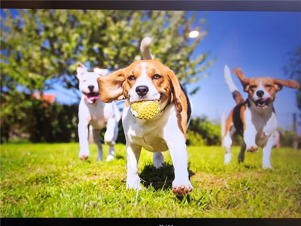 208 Parnassus Road Locust Grove, GA 30248 - Photo 5 of 38