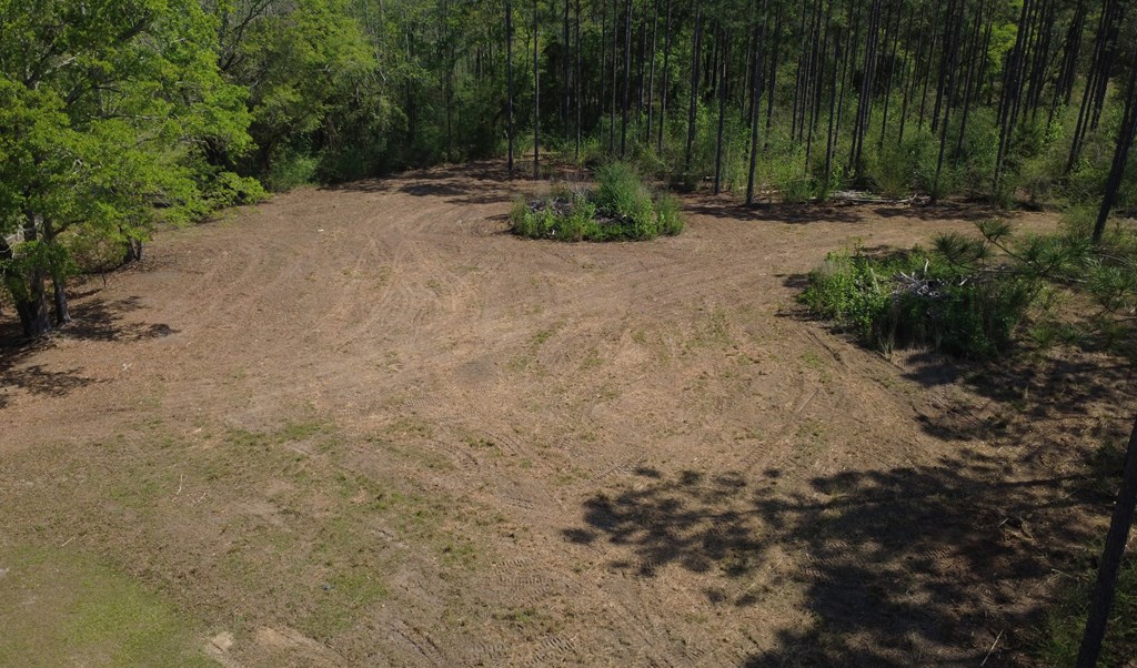 Lot 2 South County Road Slocomb, AL 36375 - Photo 5 of 19