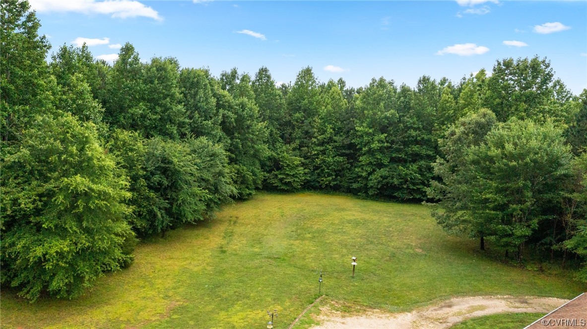 10595 Scotts Road Dewitt, VA 23840 - Photo 9 of 34 Gallery Image 9