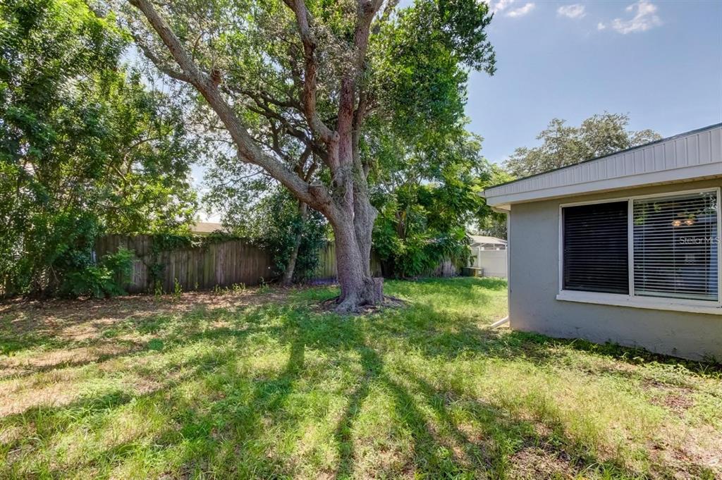 7144 Fairfax Drive Port Richey, FL 34668 - Photo 46 of 53 a backyard of a house with lots of green space