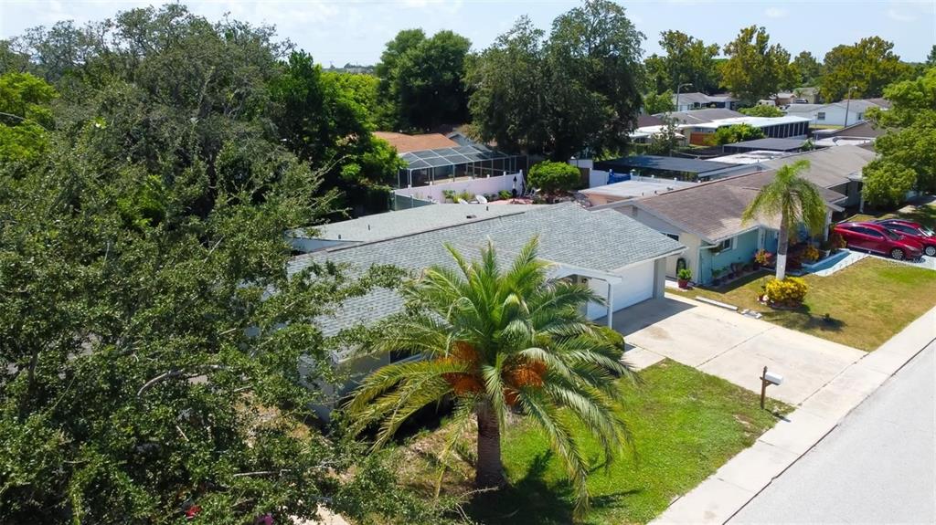 7144 Fairfax Drive Port Richey, FL 34668 - Photo 47 of 53 a view of a street with potted plants and large trees
