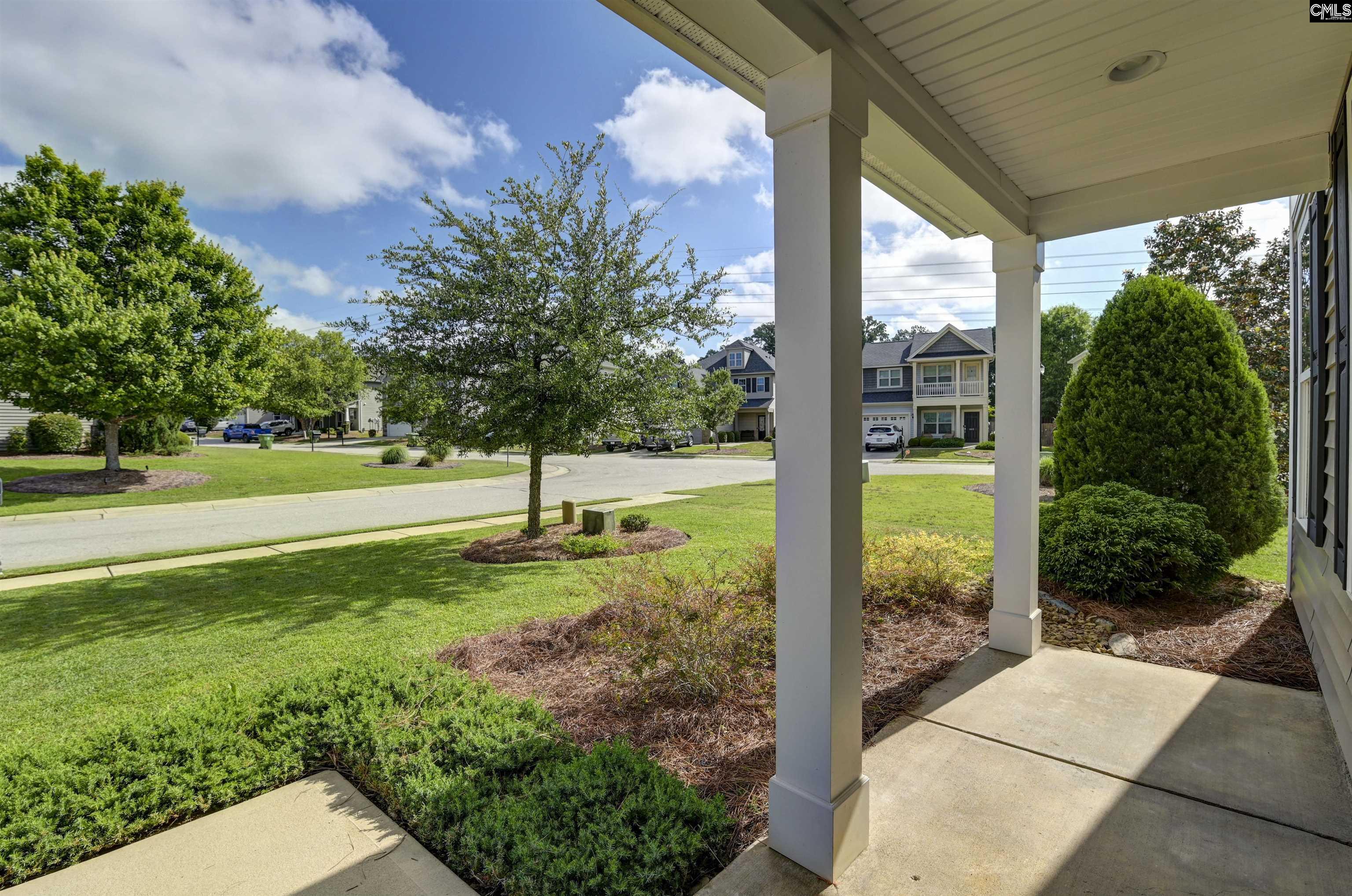 409 Crawley Lane Chapin, SC 29036 - Photo 12 of 50