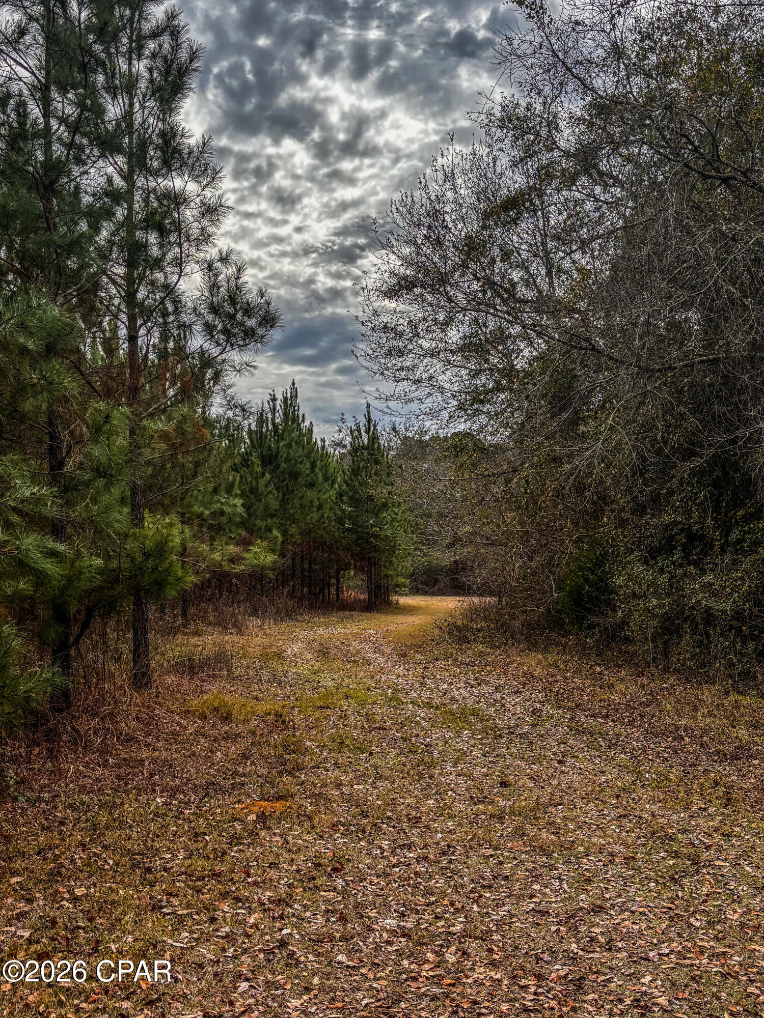 0 Hwy 77 Chipley Chipley, FL 32428 - Photo 11 of 23