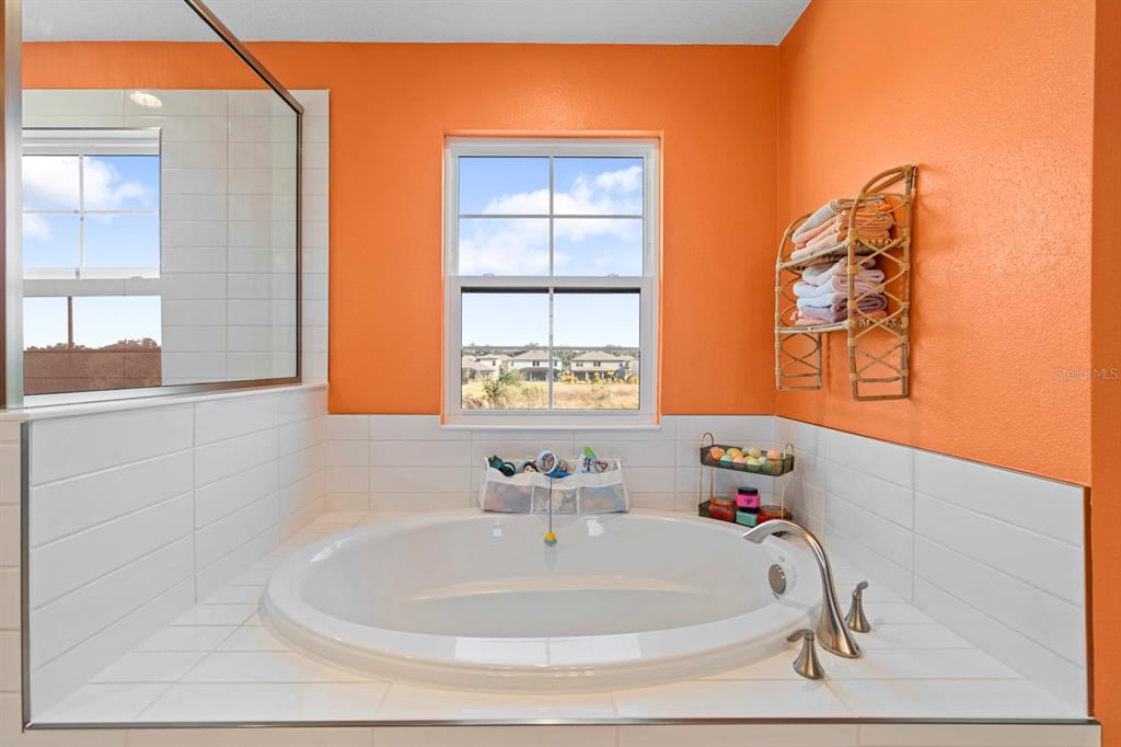 14661 Horse Trot Road Lithia, FL 33547 - Photo 25 of 46 a bath tub sitting next to a white sink