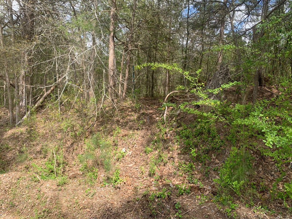 146 Horseshoe Road Iva, SC 29655 - Photo 2 of 15