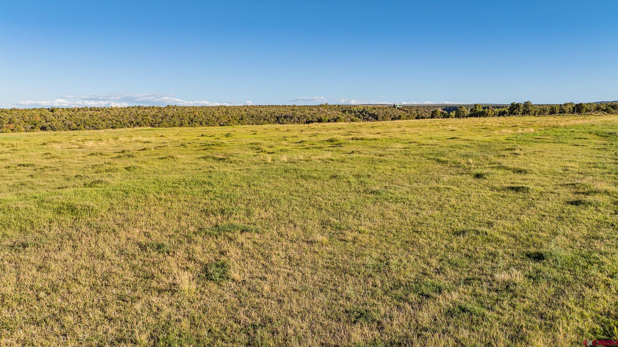 1253 3350th Road Crawford, CO 81415 - Photo 17 of 45 Gallery Image 17